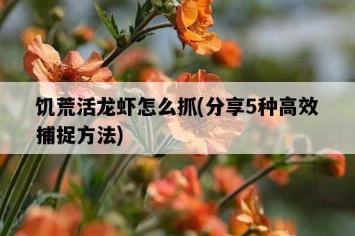 饑荒活龍蝦怎么抓，分享5種高效捕捉方法-圖1