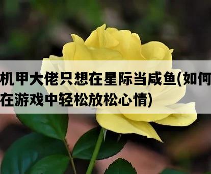 機甲大佬只想在星際當咸魚，如何在游戲中輕松放松心情-圖1