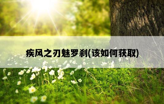 疾風之刃魅羅剎，該如何獲取-圖1