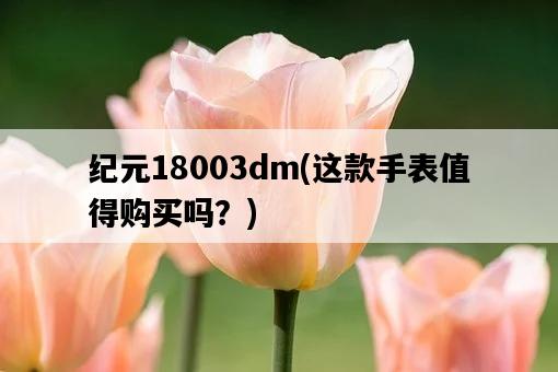 紀元18003dm，這款手表值得購買嗎？-圖1