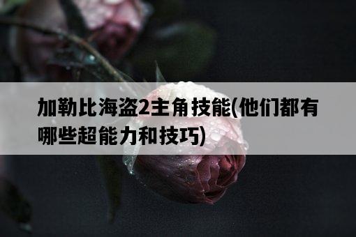 加勒比海盜2主角技能，他們都有哪些超能力和技巧-圖1