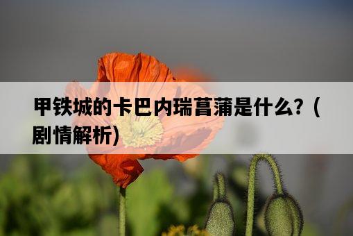 甲鐵城的卡巴內瑞菖蒲是什么？，劇情解析-圖1