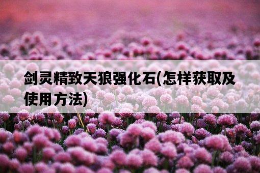 劍靈精致天狼強化石，怎樣獲取及使用方法-圖1