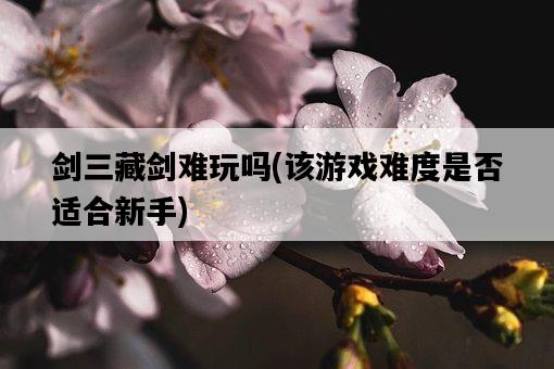 劍三藏劍難玩嗎，該游戲難度是否適合新手-圖1