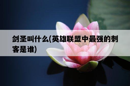 劍圣叫什么，英雄聯盟中最強的刺客是誰-圖1