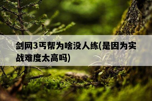 劍網3丐幫為啥沒人練，是因為實戰難度太高嗎-圖1