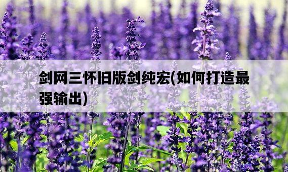 劍網三懷舊版劍純宏，如何打造最強輸出-圖1