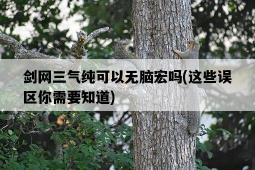 劍網三氣純可以無腦宏嗎，這些誤區你需要知道-圖1