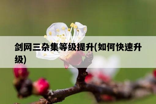 劍網三雜集等級提升，如何快速升級-圖1