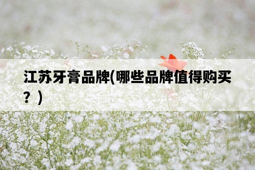 江蘇牙膏品牌，哪些品牌值得購買？-圖1
