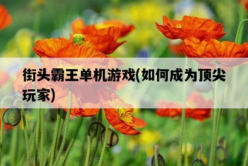 街頭霸王單機游戲，如何成為頂尖玩家-圖1
