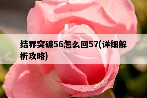 結界突破56怎么回57，詳細解析攻略-圖1
