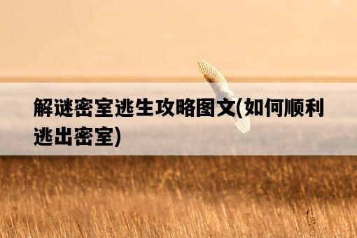 解謎密室逃生攻略圖文，如何順利逃出密室-圖1