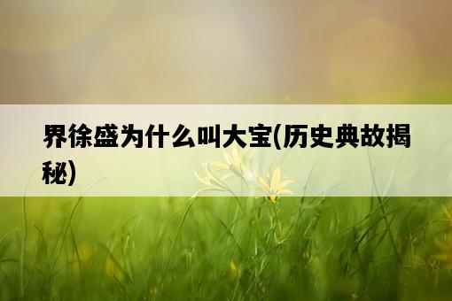 界徐盛為什么叫大寶，歷史典故揭秘-圖1