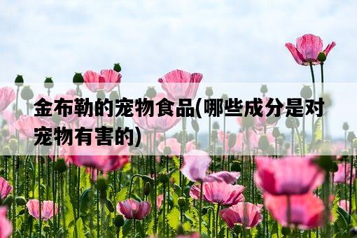 金布勒的寵物食品，哪些成分是對寵物有害的-圖1