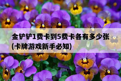 金鏟鏟1費卡到5費卡各有多少張，卡牌游戲新手必知-圖1