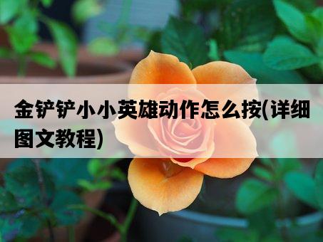 金鏟鏟小小英雄動作怎么按，詳細圖文教程-圖1