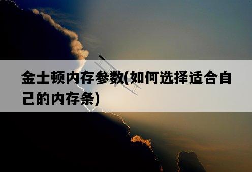金士頓內存參數，如何選擇適合自己的內存條-圖1