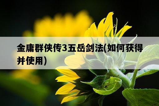 金庸群俠傳3五岳劍法，如何獲得并使用-圖1