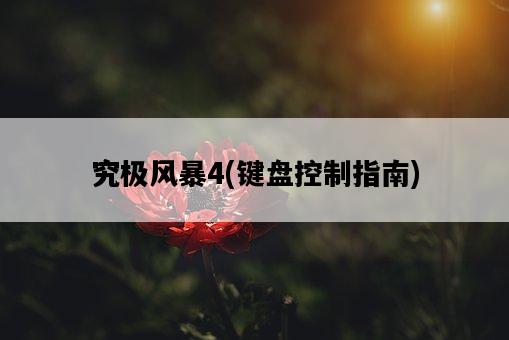 究極風暴4，鍵盤控制指南-圖1