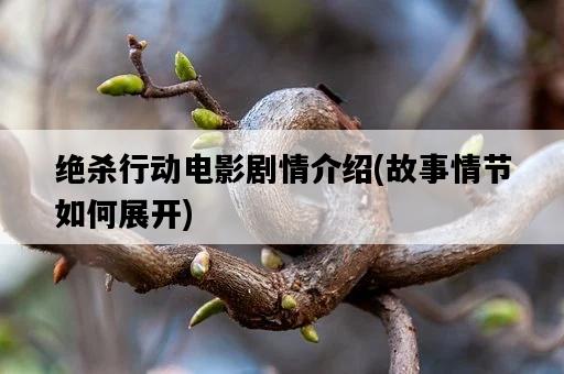 絕殺行動電影劇情介紹，故事情節如何展開-圖1
