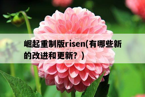 崛起重制版risen，有哪些新的改進和更新？-圖1