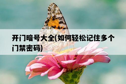開門暗號大全，如何輕松記住多個門禁密碼-圖1