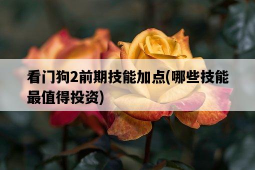 看門狗2前期技能加點，哪些技能最值得投資-圖1