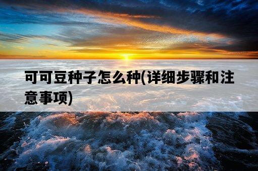 可可豆種子怎么種，詳細步驟和注意事項-圖1