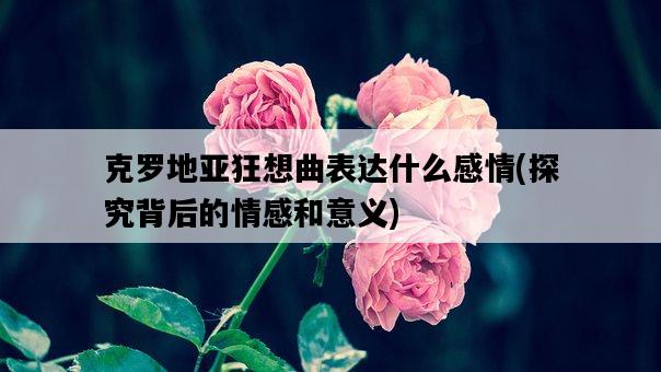 克羅地亞狂想曲表達什么感情，探究背后的情感和意義-圖1
