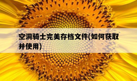 空洞騎士完美存檔文件，如何獲取并使用-圖1