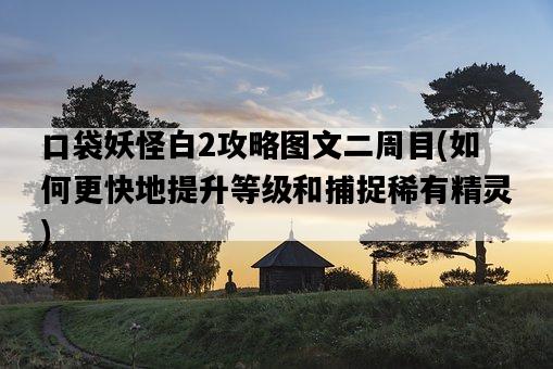 口袋妖怪白2攻略圖文二周目，如何更快地提升等級和捕捉稀有精靈-圖1