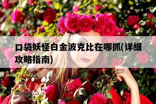 口袋妖怪白金波克比在哪抓，詳細攻略指南-圖1