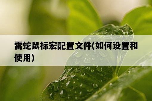 雷蛇鼠標宏配置文件，如何設置和使用-圖1