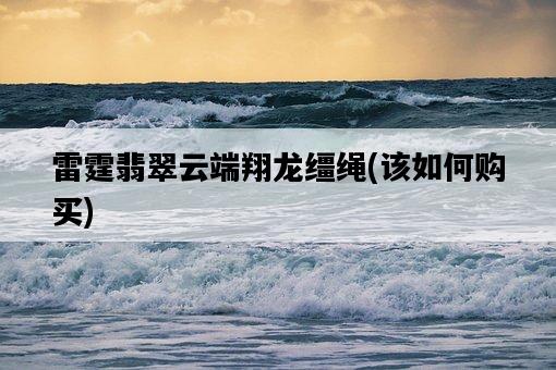 雷霆翡翠云端翔龍韁繩，該如何購買-圖1