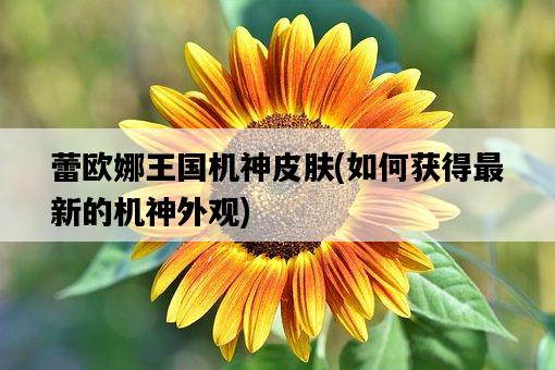 蕾歐娜王國機神皮膚，如何獲得最新的機神外觀-圖1