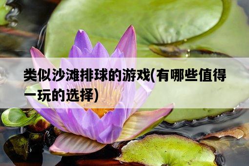 類似沙灘排球的游戲,有哪些值得一玩的選擇-圖1 類似沙灘排球的游戲,有哪些值得一玩的選擇-圖1