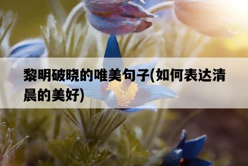 黎明破曉的唯美句子，如何表達清晨的美好-圖1