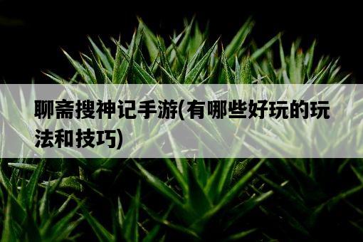 聊齋搜神記手游，有哪些好玩的玩法和技巧-圖1