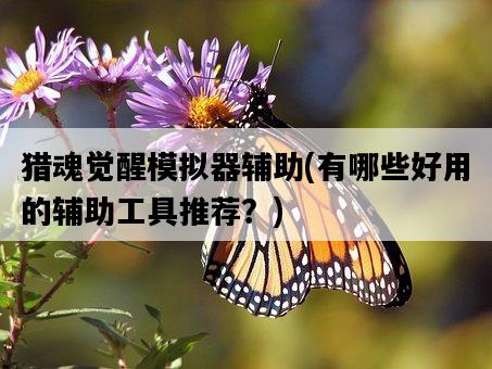 獵魂覺醒模擬器輔助，有哪些好用的輔助工具推薦？-圖1