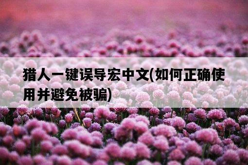 獵人一鍵誤導宏中文，如何正確使用并避免被騙-圖1