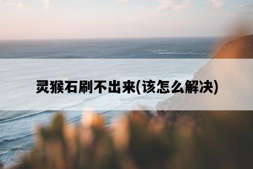 靈猴石刷不出來，該怎么解決-圖1