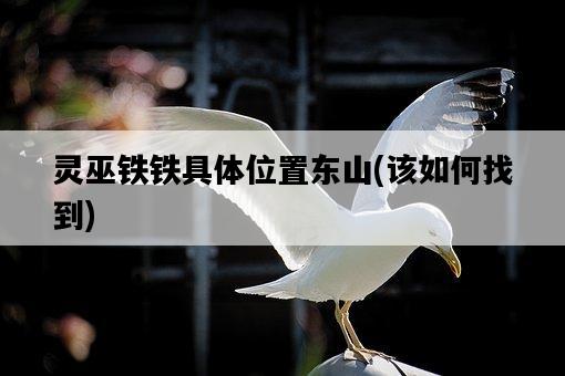 靈巫鐵鐵具體位置東山，該如何找到-圖1