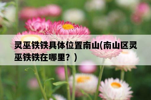 靈巫鐵鐵具體位置南山，南山區靈巫鐵鐵在哪里？-圖1