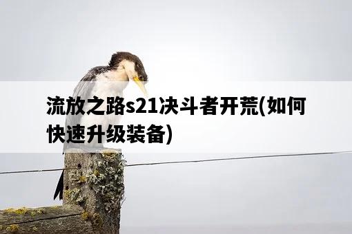 流放之路s21決斗者開荒，如何快速升級裝備-圖1