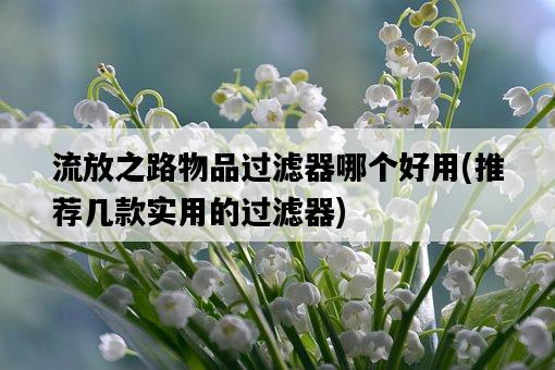流放之路物品過濾器哪個好用，推薦幾款實用的過濾器-圖1