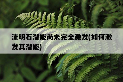 流明石潛能尚未完全激發，如何激發其潛能-圖1