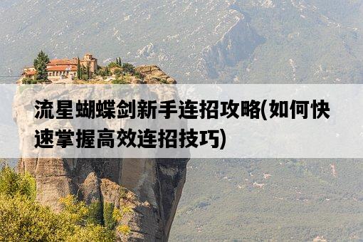 流星蝴蝶劍新手連招攻略，如何快速掌握高效連招技巧-圖1