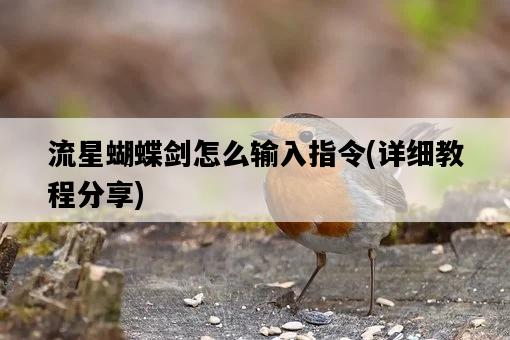 流星蝴蝶劍怎么輸入指令，詳細教程分享-圖1