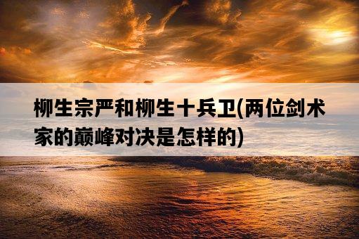 柳生宗嚴和柳生十兵衛，兩位劍術家的巔峰對決是怎樣的-圖1